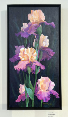 Painting of iris by Pam Montgomery